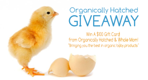 Organically-Hatched-Entry-Final