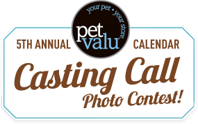 logo-castingcall2016