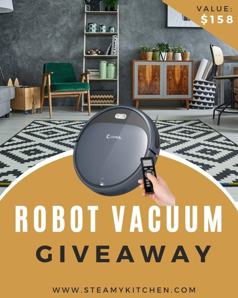 Robot Vacuum Giveaway!